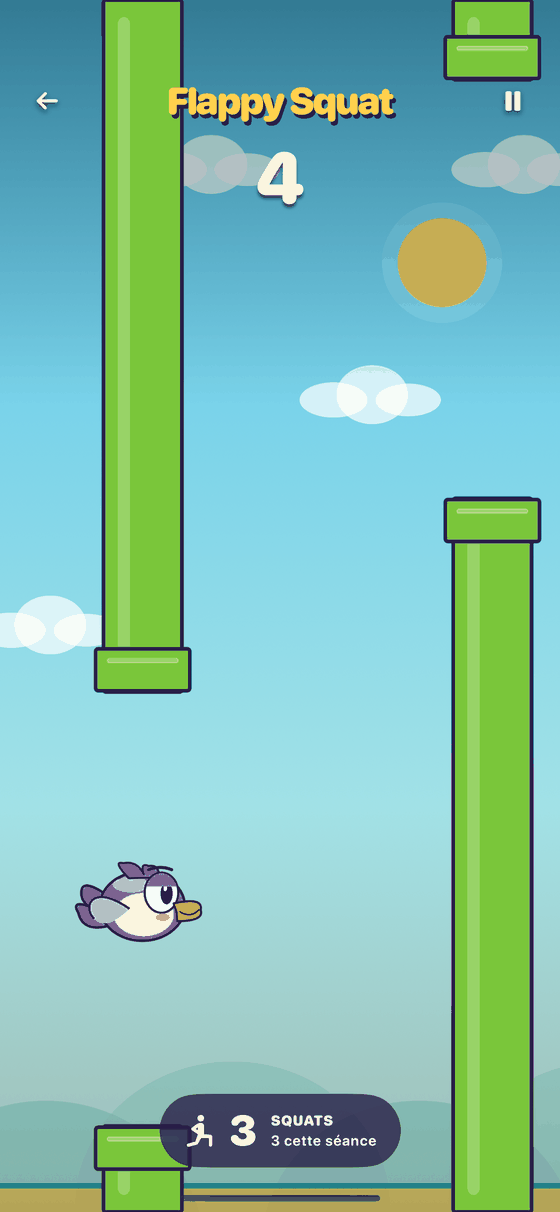 Partie de Birdy Squat en cours